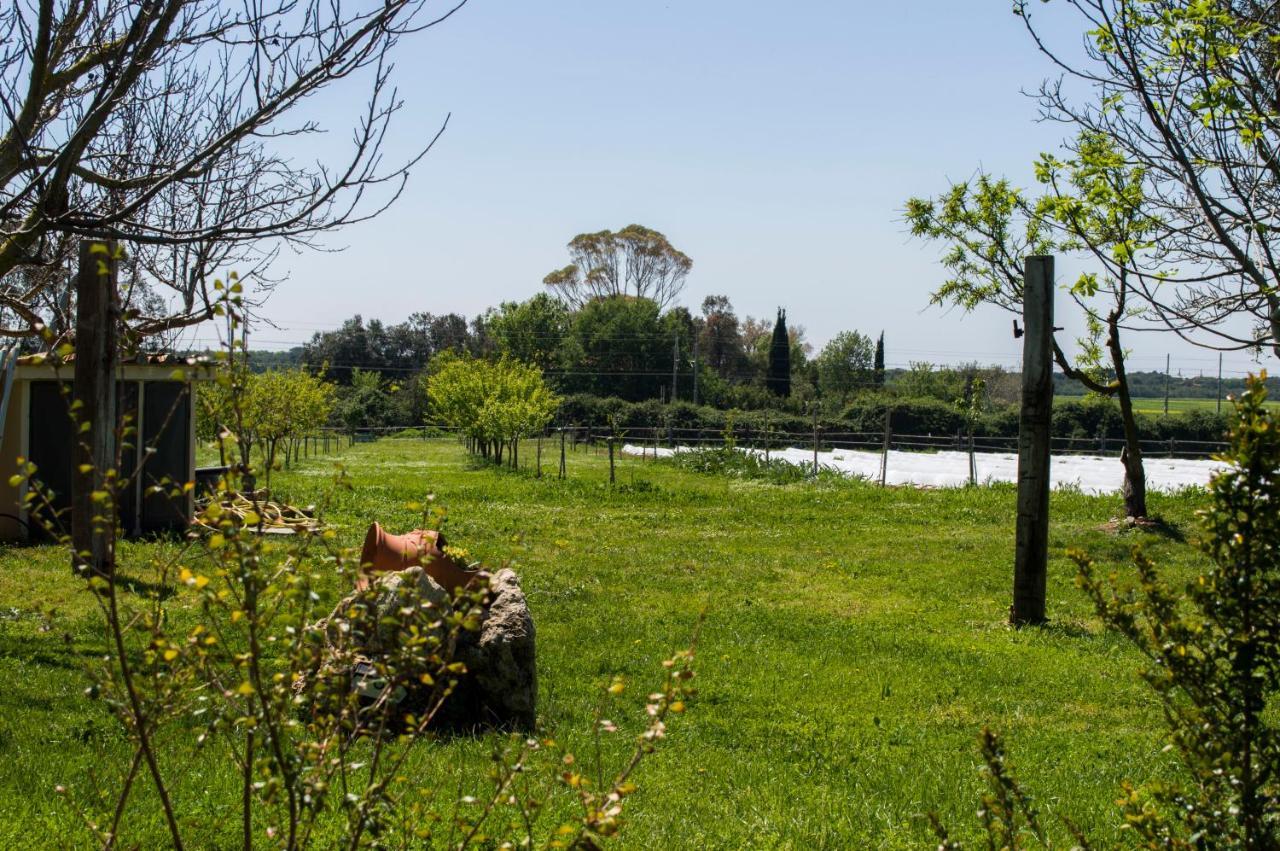 Villa Enli Capalbio Zewnętrze zdjęcie